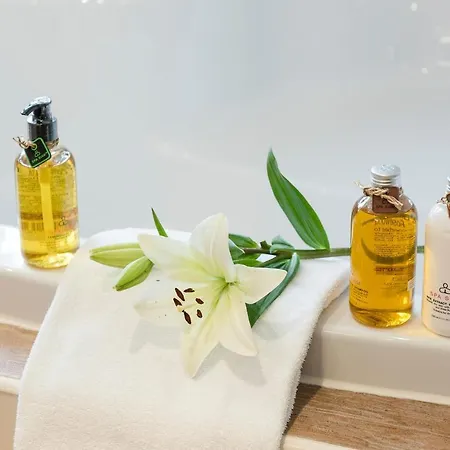 Der Westerhof מלון 4*